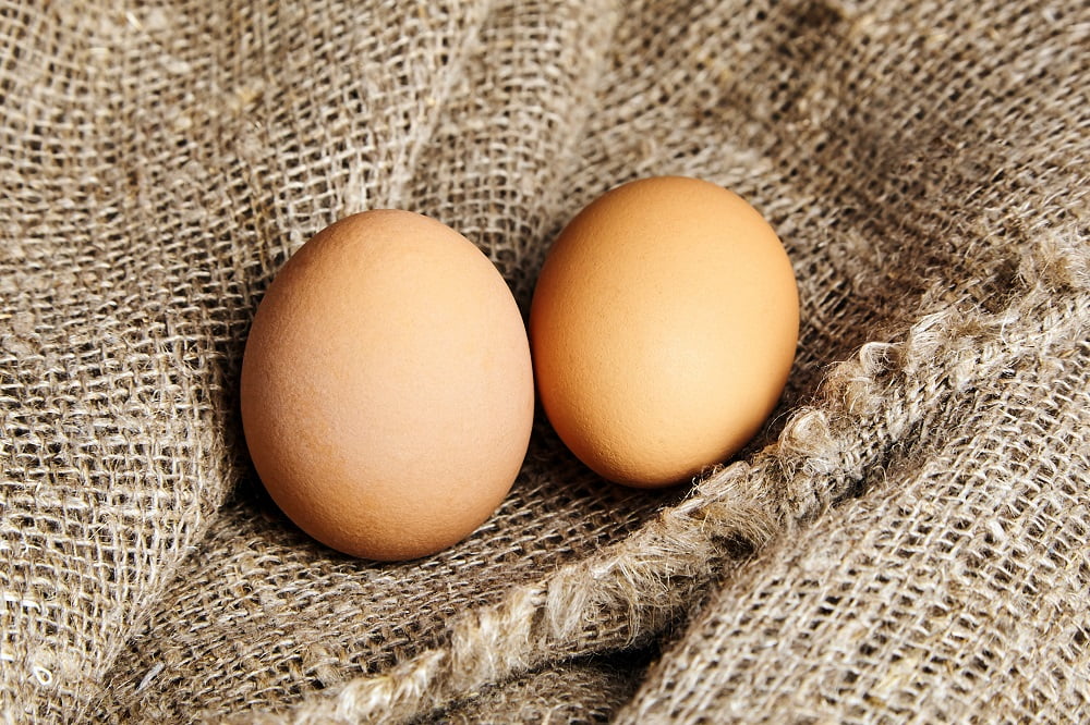 zbuki - jak sprawdzić czy jajka są świeże